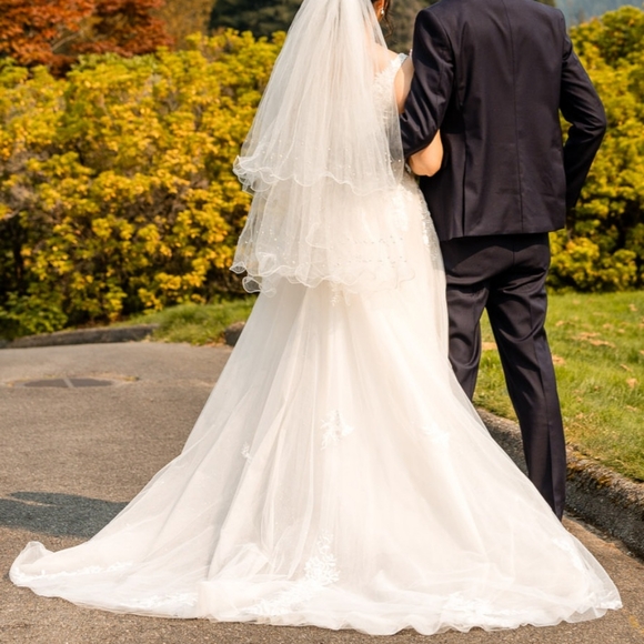 Wedding Dress & Veil - Picture 5 of 14